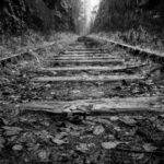 22444聚宝盆最新开奖结果与号码走势分析 fezcaljz4g