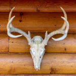 050期开奖结果震撼揭晓,大奖花落谁家引关注 h5ascuq