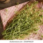 05期开奖结果震撼揭晓,大奖花落谁家引关注 ldboh9qhmc