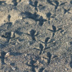 043期开奖号码正式公布,幸运数字花落谁家? n6io8