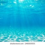 047期开奖号码正式公布,彩民热议中奖结果 qjnzu8vx