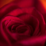 039期开奖结果震撼揭晓,幸运号码花落谁家? s0wdh