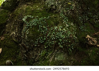 226期3D开奖结果揭晓,最新中奖号码震撼公布 226期3D开奖结果揭晓,最新中奖号码震撼公布